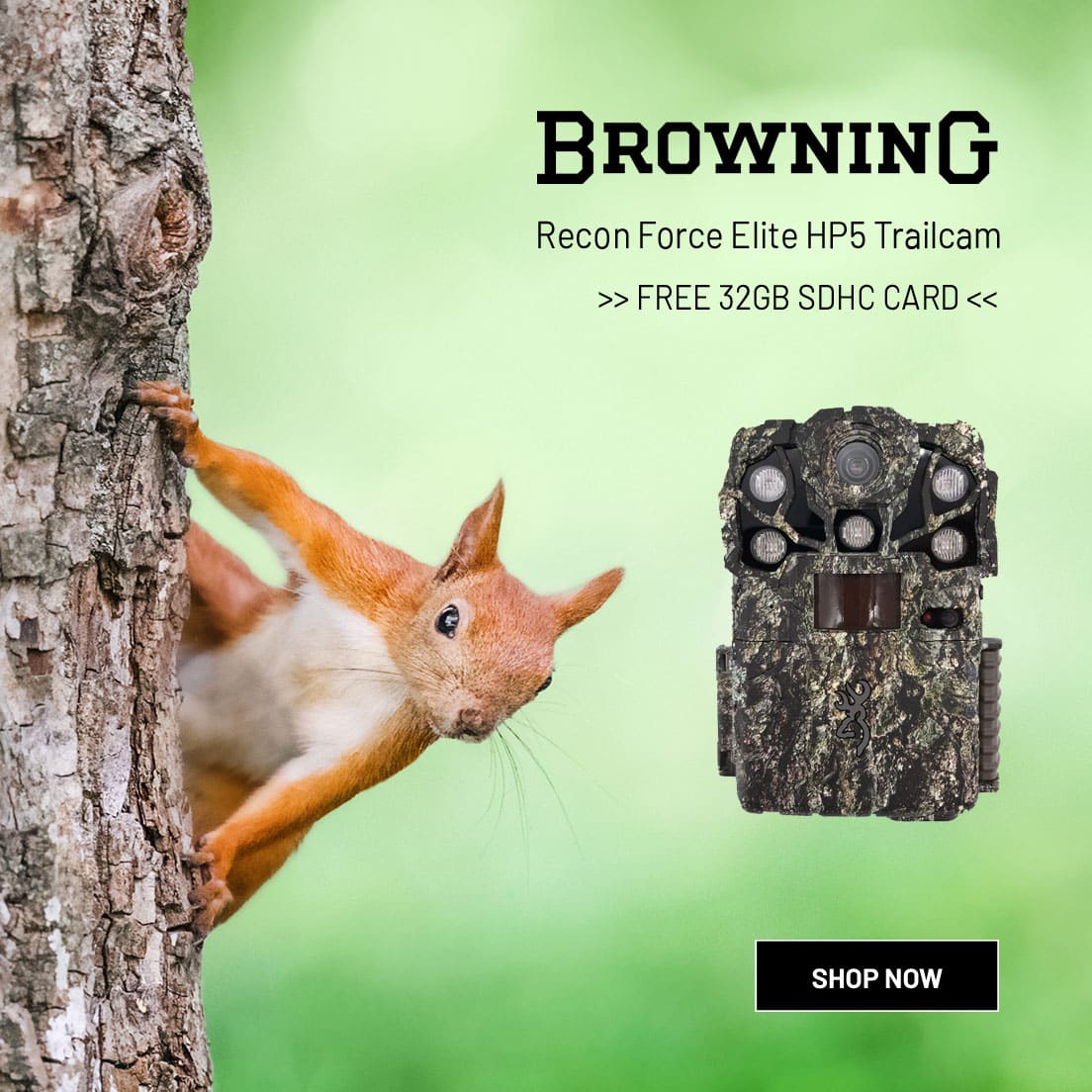 Browning Recon Force Elite HP5 Trailcam wildlife Camera