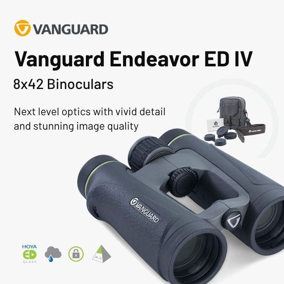 VANGUARD ENDEAVOR ED IV BINOCULARS 8X42