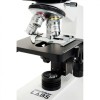 Celestron Labs CB2000C Compound Binocular Microscope