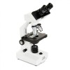 Celestron Labs CB2000CF Compound Binocular Microscope