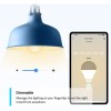 TP Link Tapo L510B Dimmable Smart Light Bulb