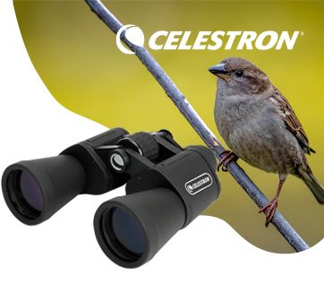 Celestron UpClose Binoculars