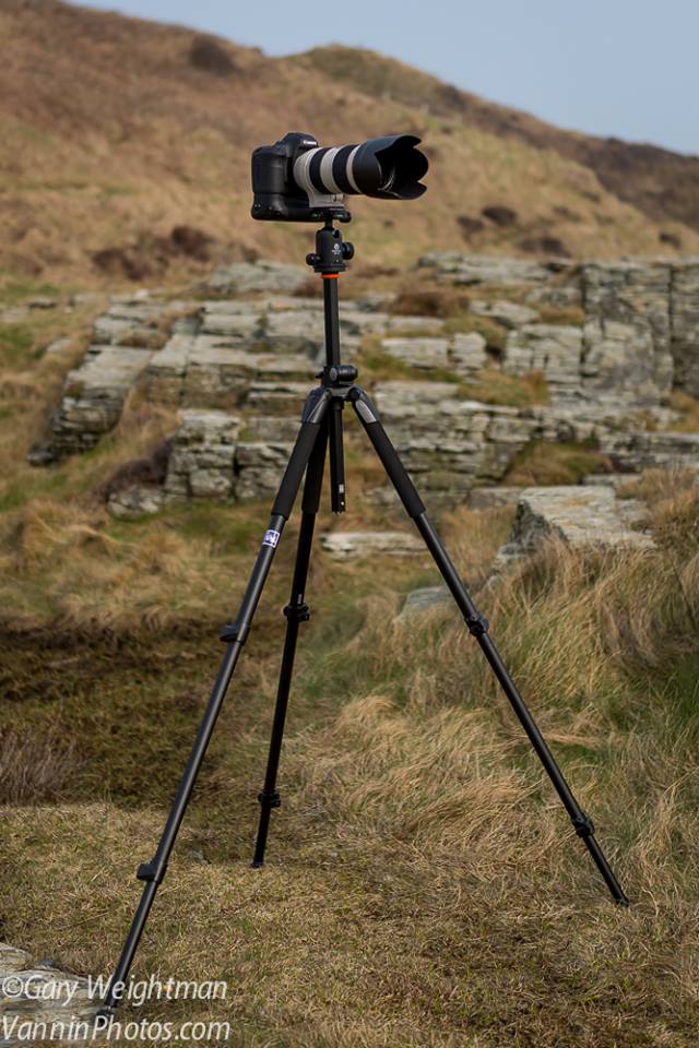 Review of the Vanguard Alta Pro 263AB 100 Ball Head Tripod