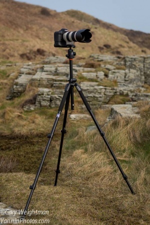 Review of the Vanguard Alta Pro 263AB 100 Ball Head Tripod