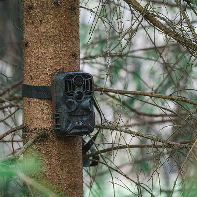 Review of the Braun Scouting Black800 WiFi Trail Camera