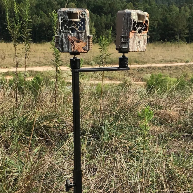 Browning Trail Cameras Best Browning Wildlife Trail Camera Uk 
