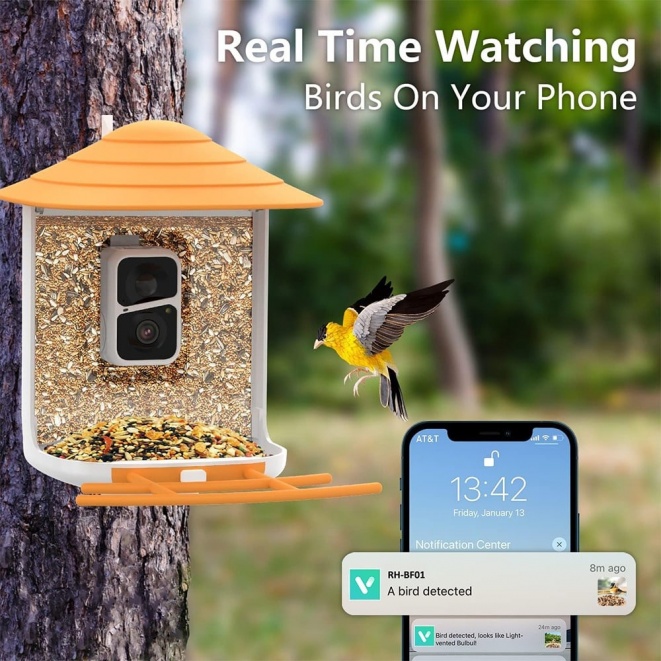 Smart Bird Feeder Camera with Solar Panel