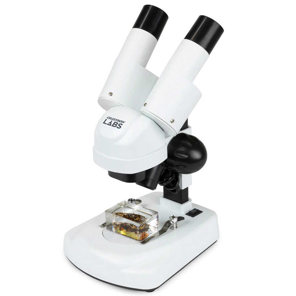 Celestron Labs S20 Angled Stereo Microscope