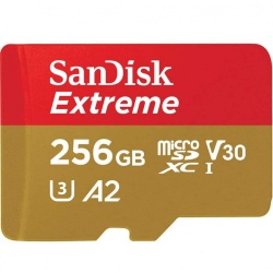 SanDisk Extreme microSDXC 190MBs UHSI U3 V30 no Adapter 256GB